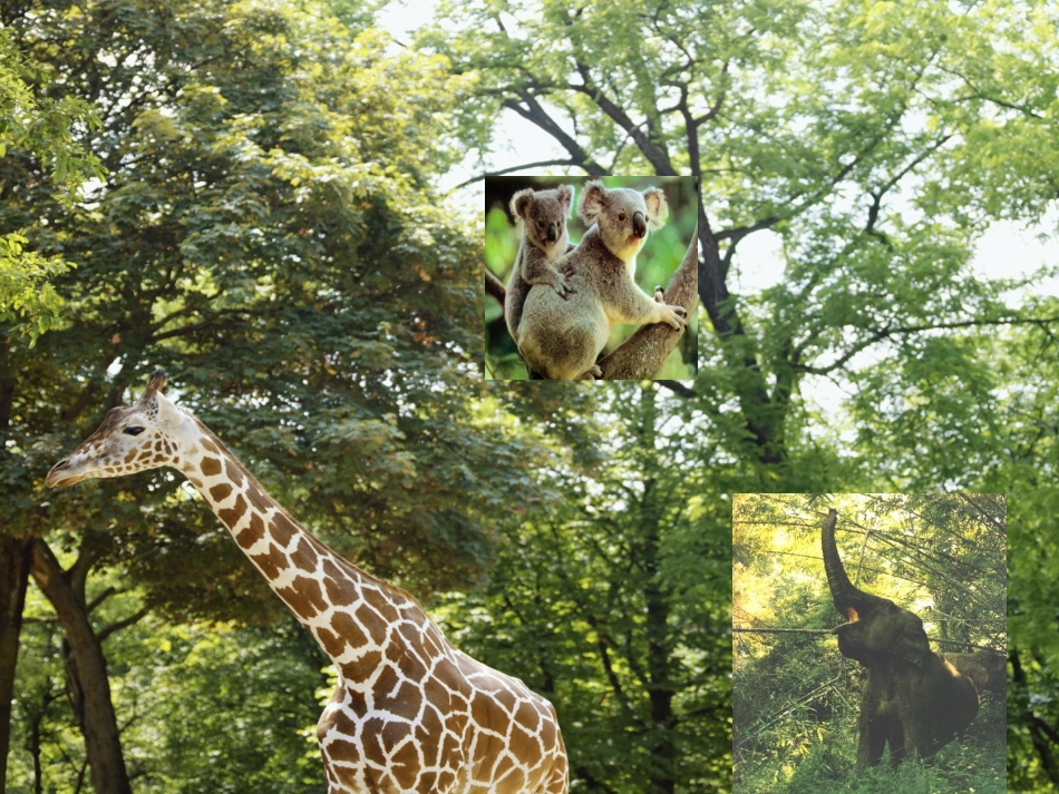 黄色警灯已经亮起_第3页