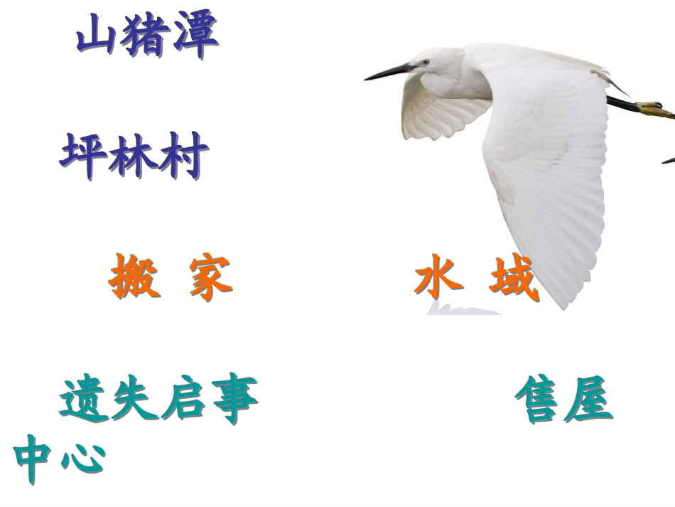 最后一只白鹭鸶(1)_第2页