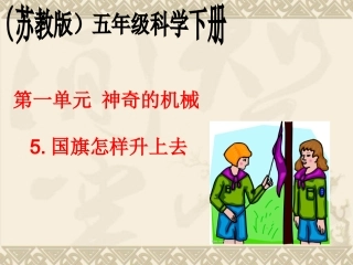 国旗怎样升上去2