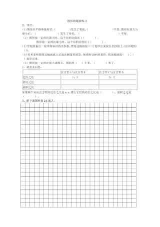 图形的放大与缩小练习