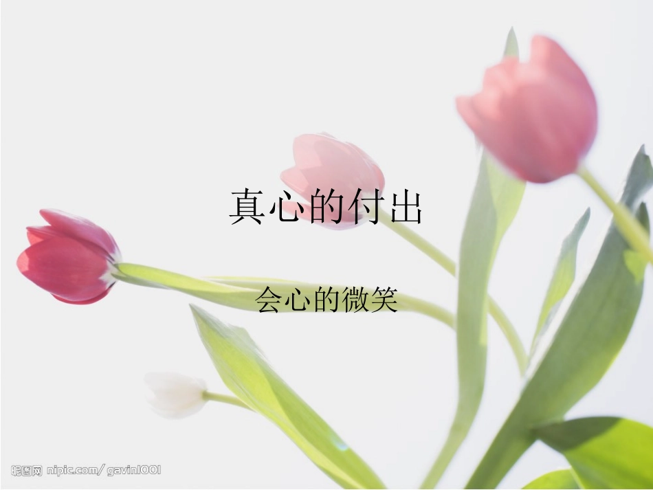 小学家长会课件_第2页