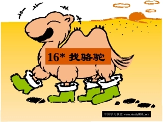 找骆驼 (2)