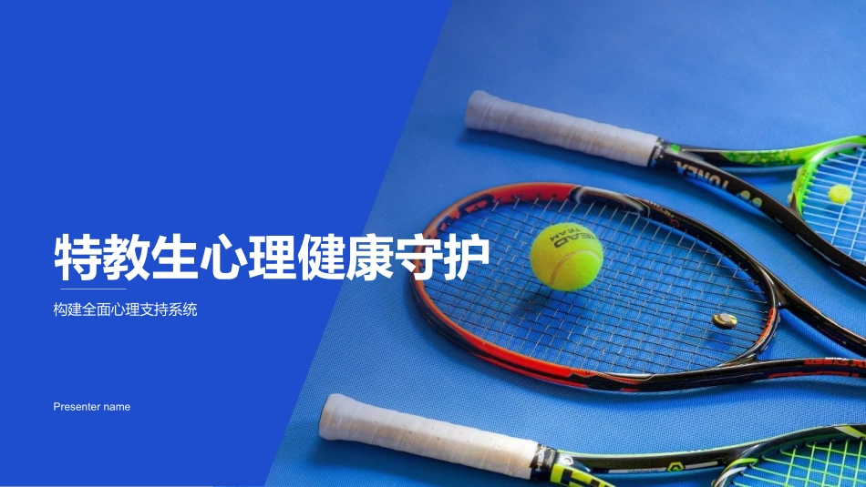 特教生心理健康守护-构建全面心理支持系统_第1页