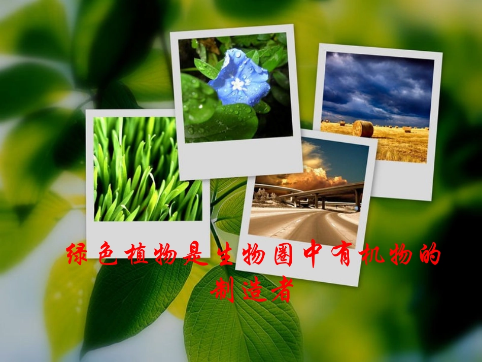 绿色植物是生物圈中有机物的制造者_第1页