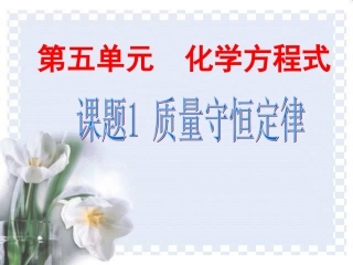 课题1质量守恒定律()