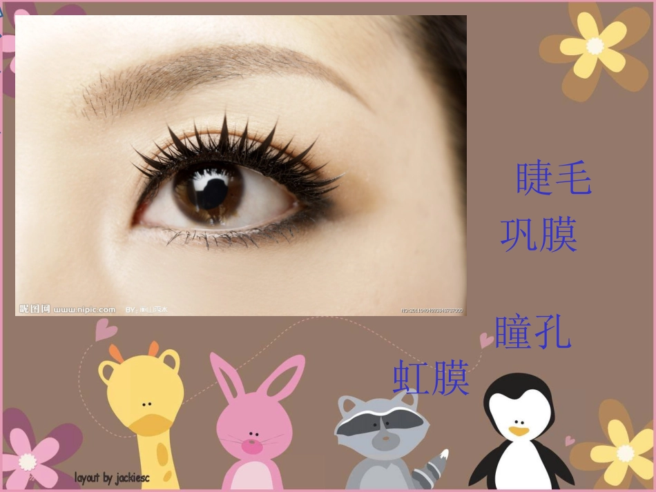 任惠琼大班健康：会说话的眼睛_第2页