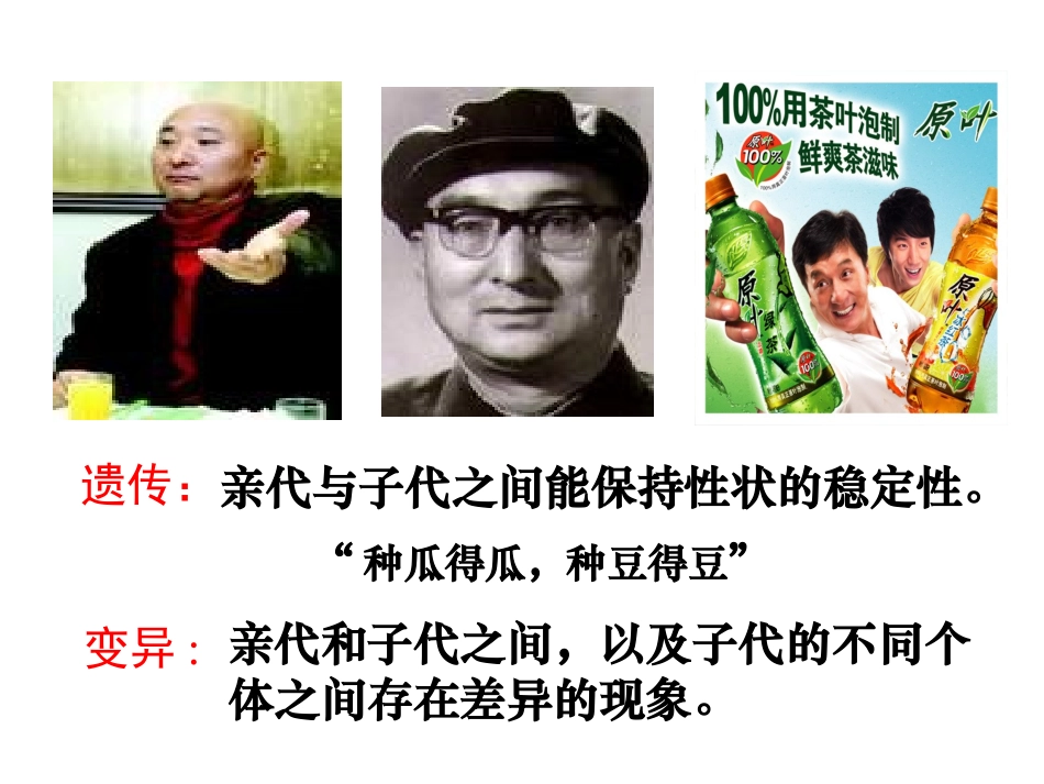 第一节遗传因子_第2页