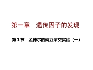 第一节遗传因子