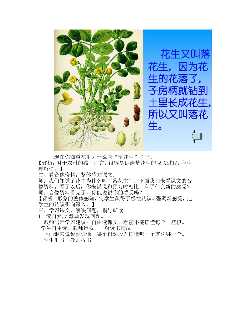 《落花生》教案_第2页