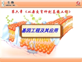 生物②必修62《基因工程及其应用》PPT课件