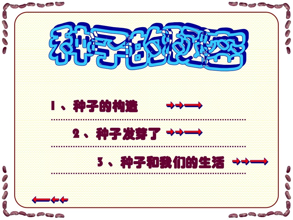 植物籽粒拼图_第2页