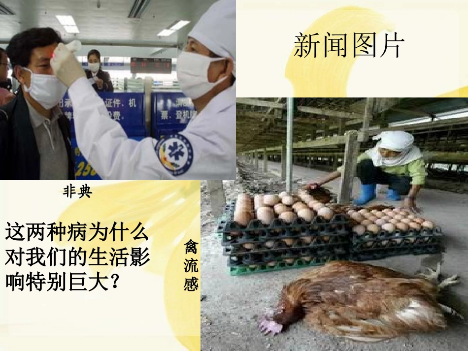 传染病和免疫_第3页