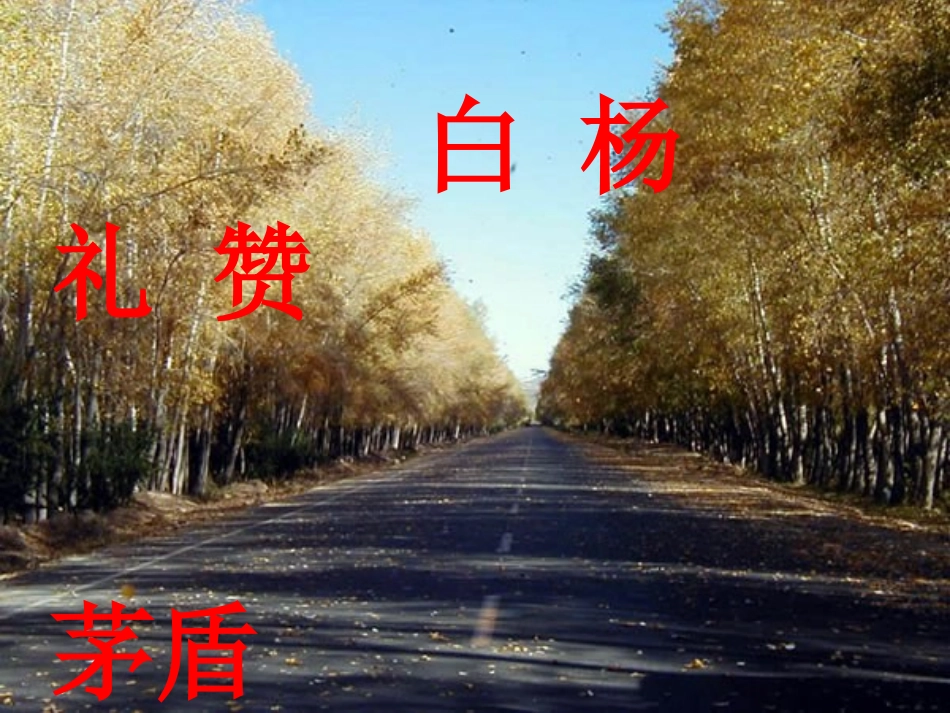 白杨礼赞12_第1页