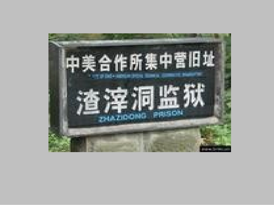 《最后的时刻》课件_第2页