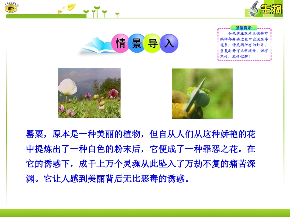 第二节拒绝毒品_第2页