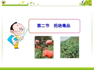第二节拒绝毒品