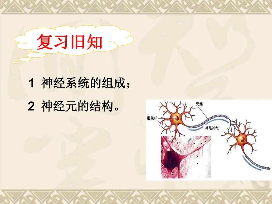 第三节神经调节的基本方式_第2页