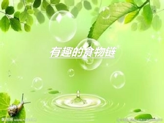 有趣的食物链2