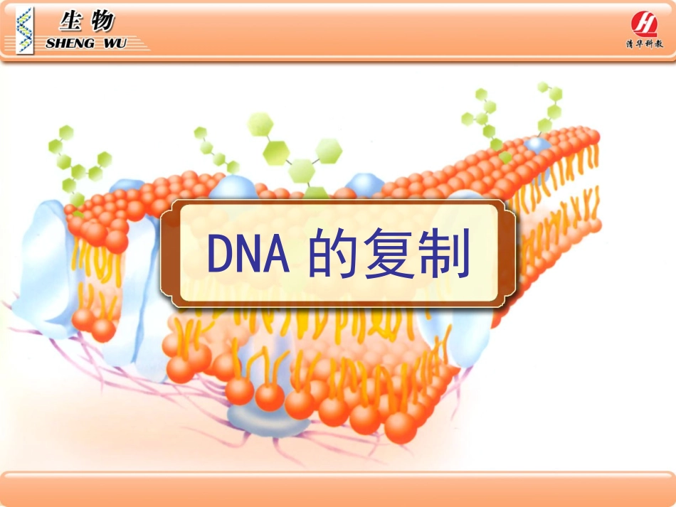 生物②必修33《DNA的复制》PPT课件_第1页