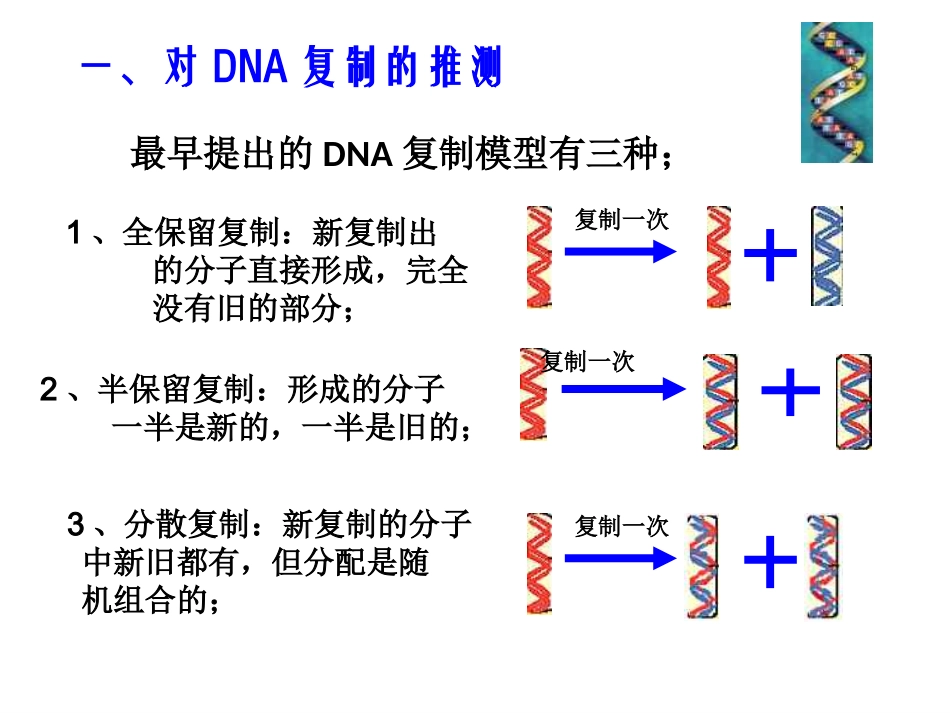 生物②必修33《DNA的复制》PPT课件_第2页