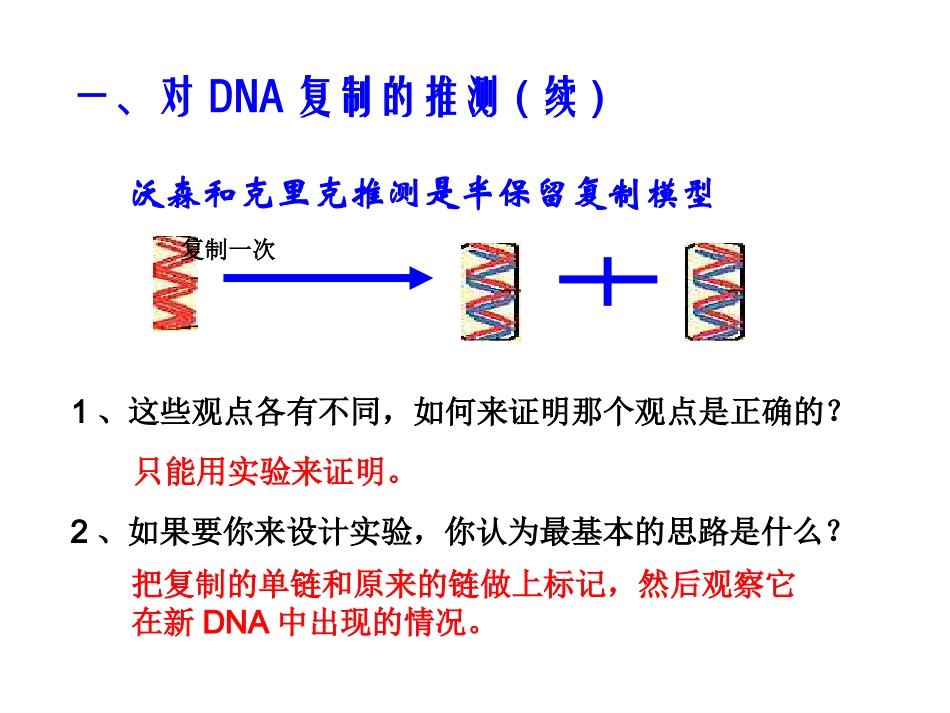 生物②必修33《DNA的复制》PPT课件_第3页
