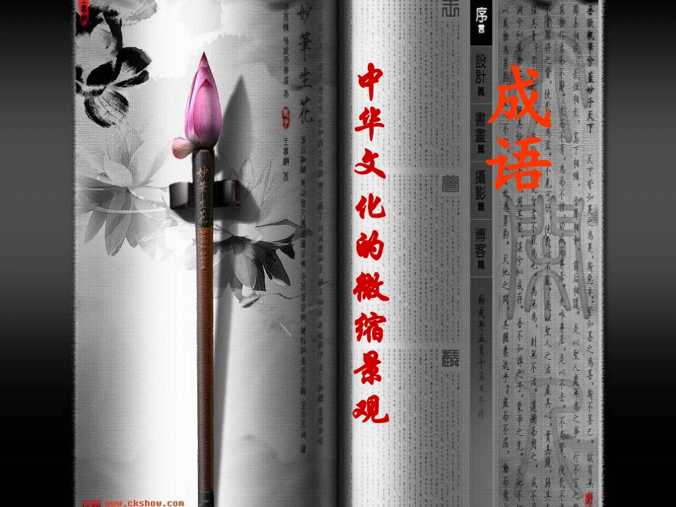 成语：中华文化的微缩景观_第1页