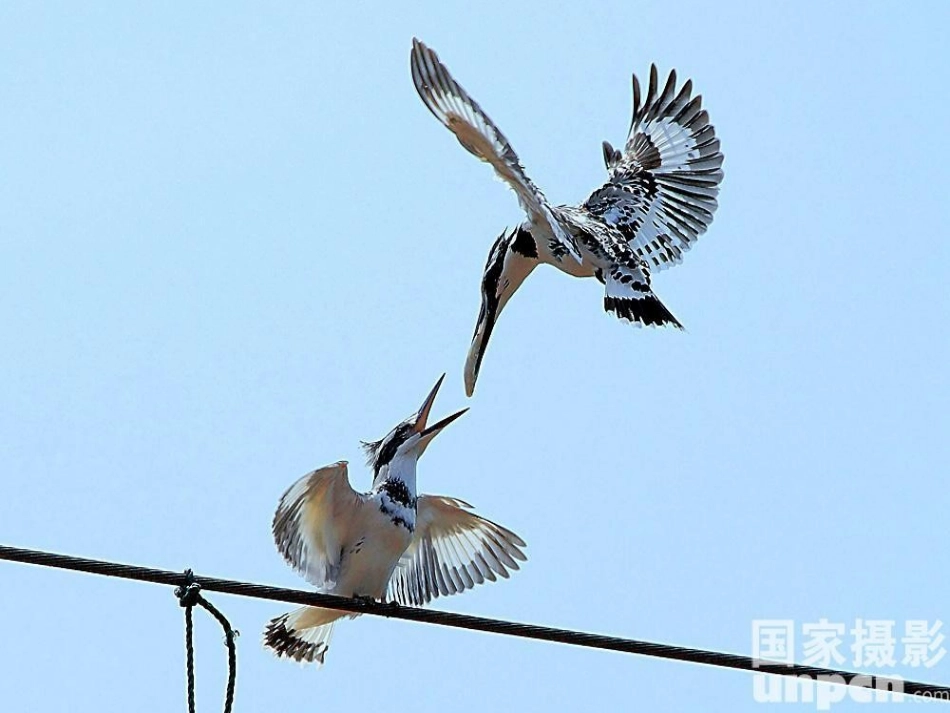 集体备课——奉献_第3页
