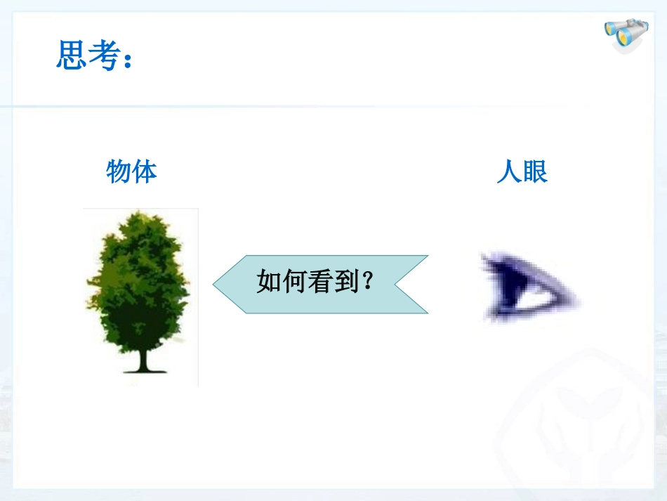 眼睛和眼镜 (3)_第2页