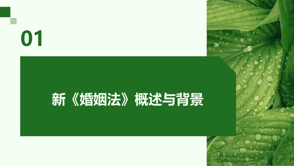 2024年新《婚姻法》课件制作_第3页