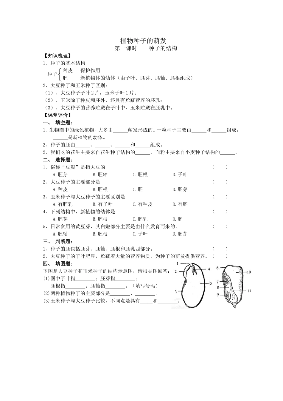 植物种子的萌发--种子的结构学案_第1页