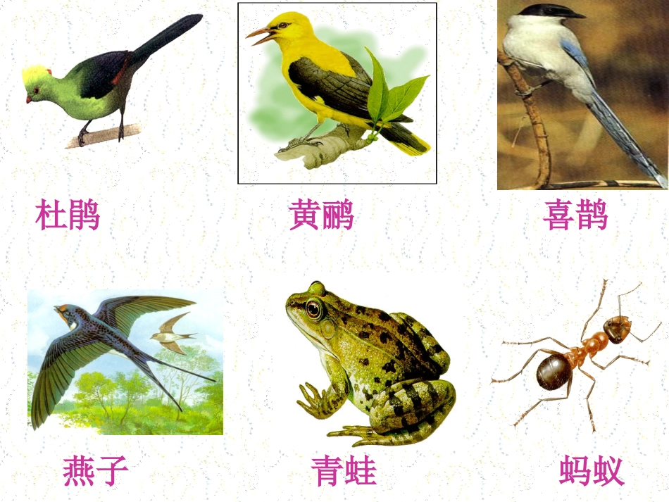 小语3册《动物过冬》_第2页