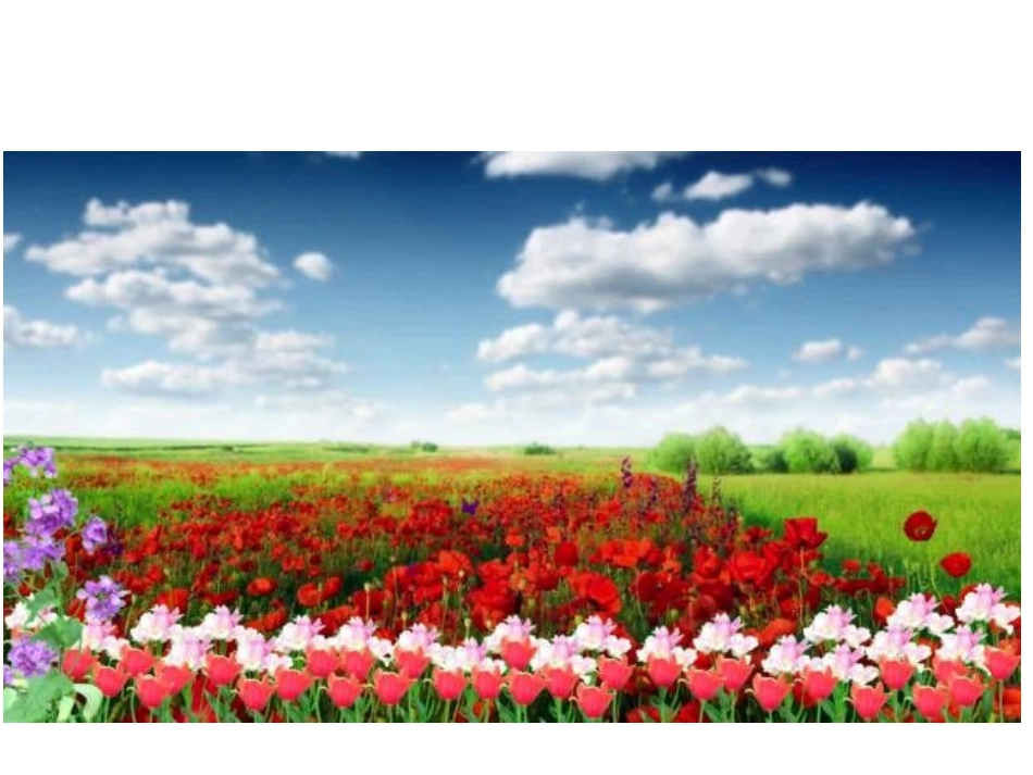 小班科学认识清明节_第1页