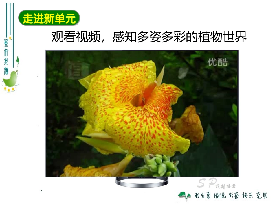 最新人教版311藻类、苔藓和蕨类植物_第1页