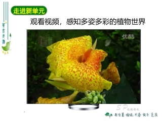 最新人教版311藻类、苔藓和蕨类植物