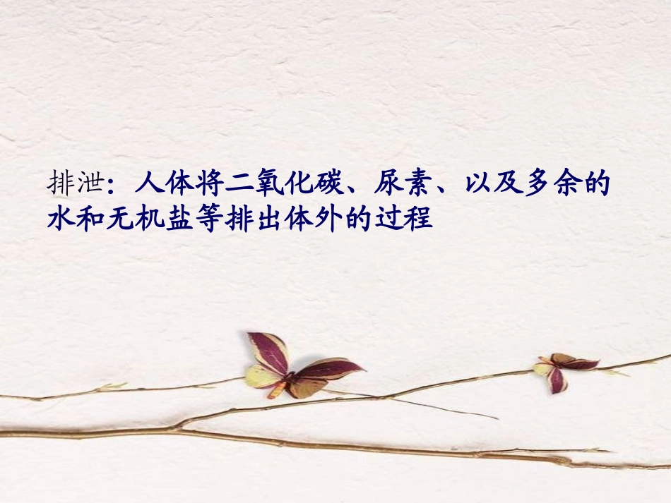 人体内废物的排出课件_第3页