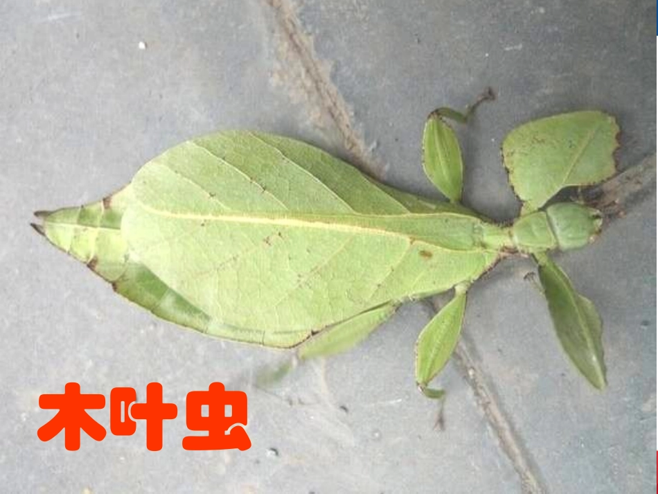 打开科学之门_第2页