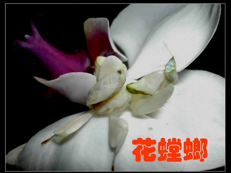 打开科学之门_第3页