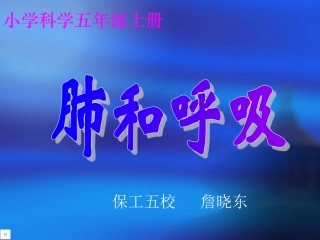 科学5上42肺和呼吸