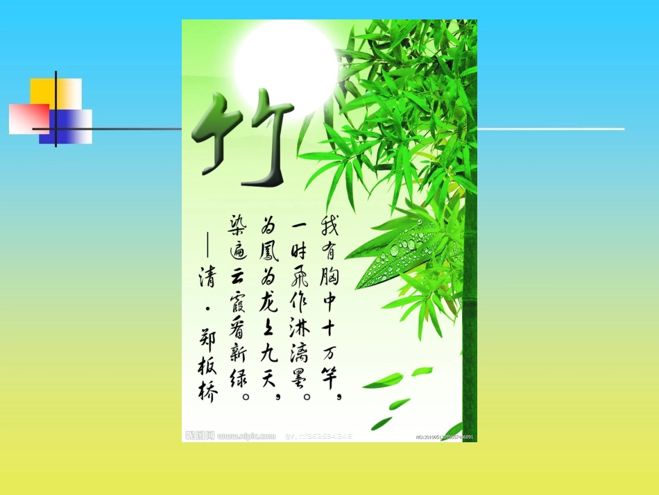 课件：井冈翠竹1_第3页