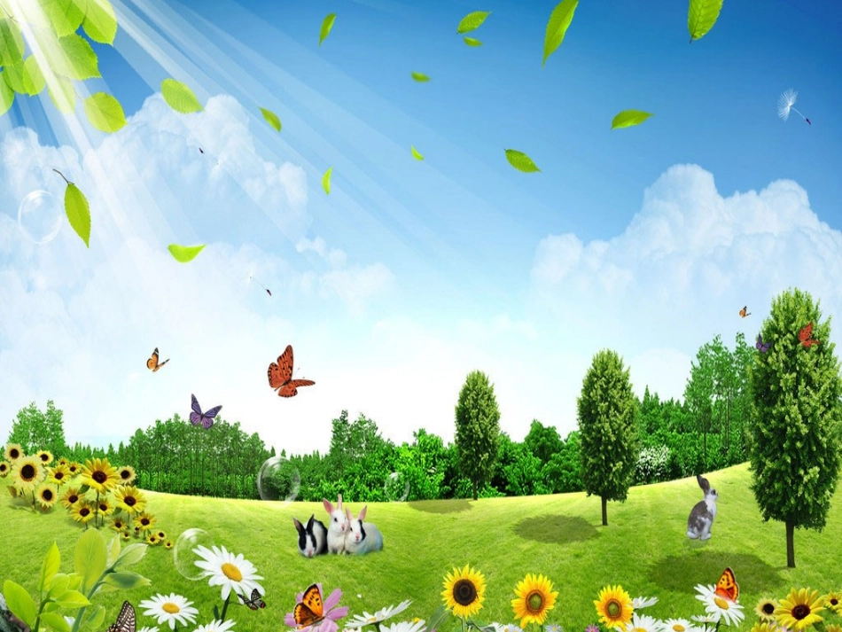 植物和我们课件PPT下载_苏教版三年级科学下册课件[1]_第2页