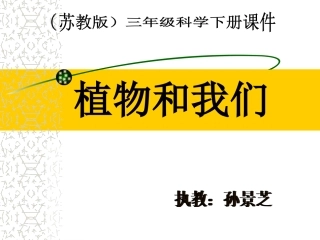 植物和我们课件PPT下载_苏教版三年级科学下册课件[1]