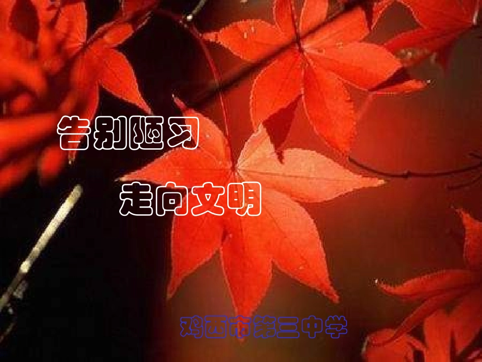 告别陋习，走向文明_第1页