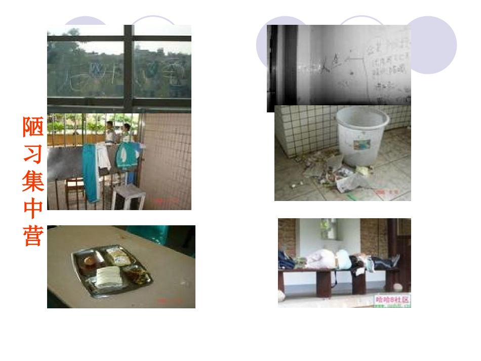 告别陋习，走向文明_第3页