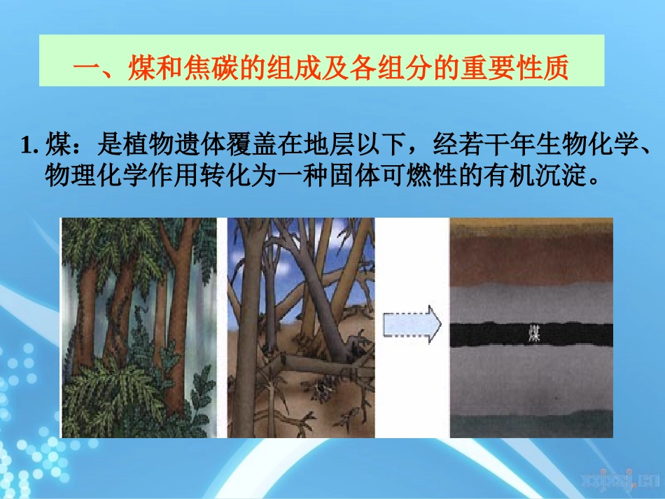 煤和焦炭分析_第3页