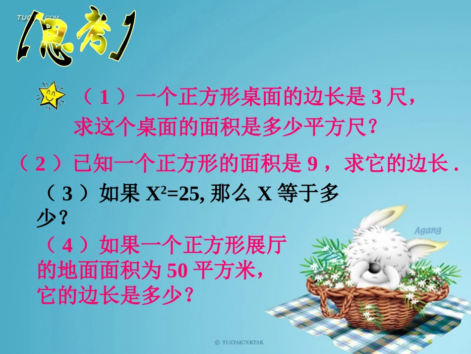 冯芳芳的平方根课件_第2页