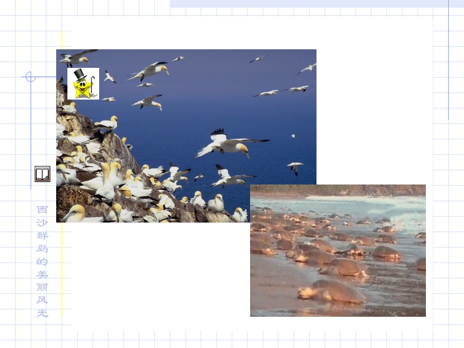 富饶的西沙群岛教学课件_第3页