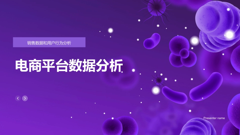 电商平台数据分析-销售数据和用户行为分析_第1页