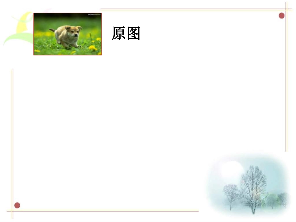 图形的放大与缩小000_第2页