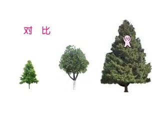 （人教新课标）三年级美术上册课件大人国与小人国1