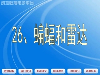 小学语文课件：蝙蝠和雷达课件525